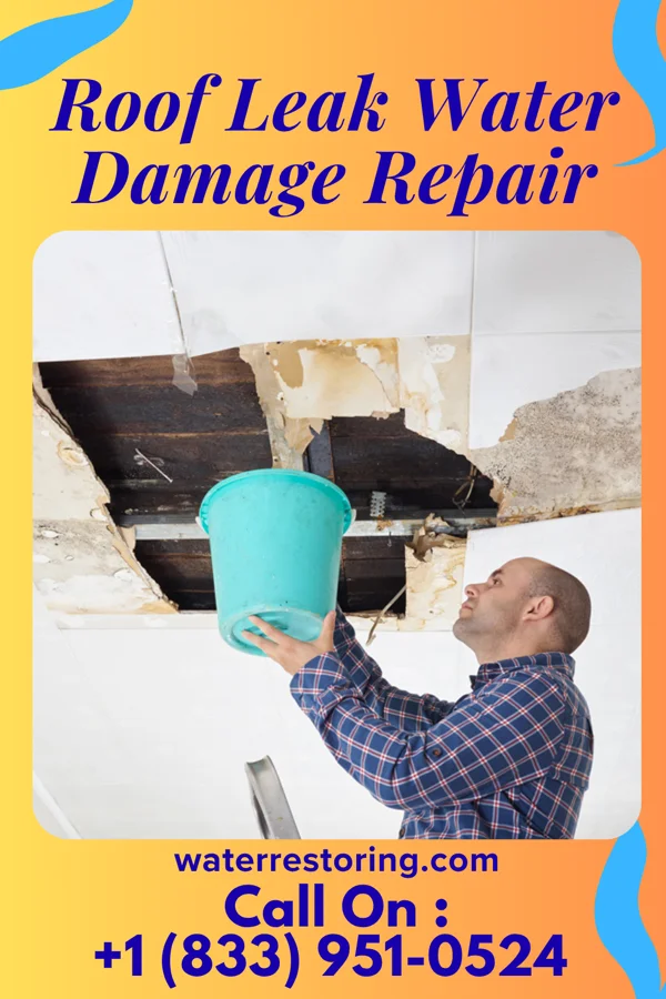 Roof Leak Water Damage Repair in Oak Valley, TX